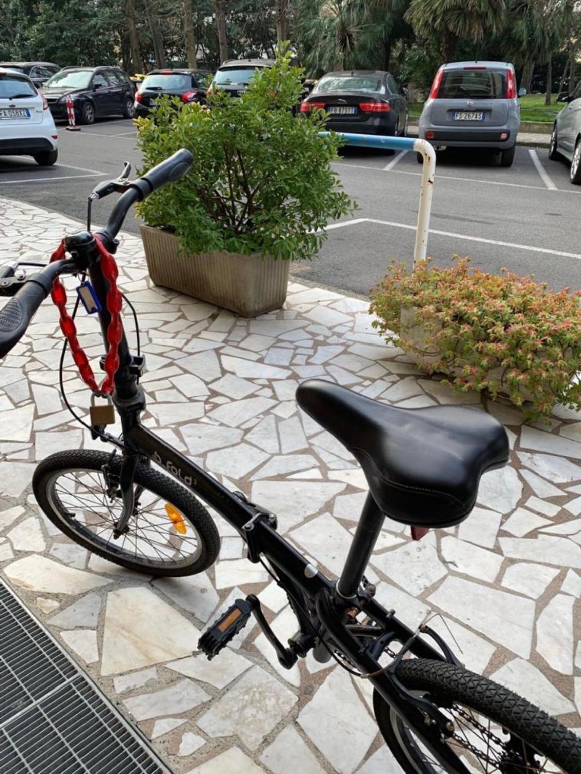 La Conchiglia A Marina Lägenhet Marina Di Carrara Exteriör bild